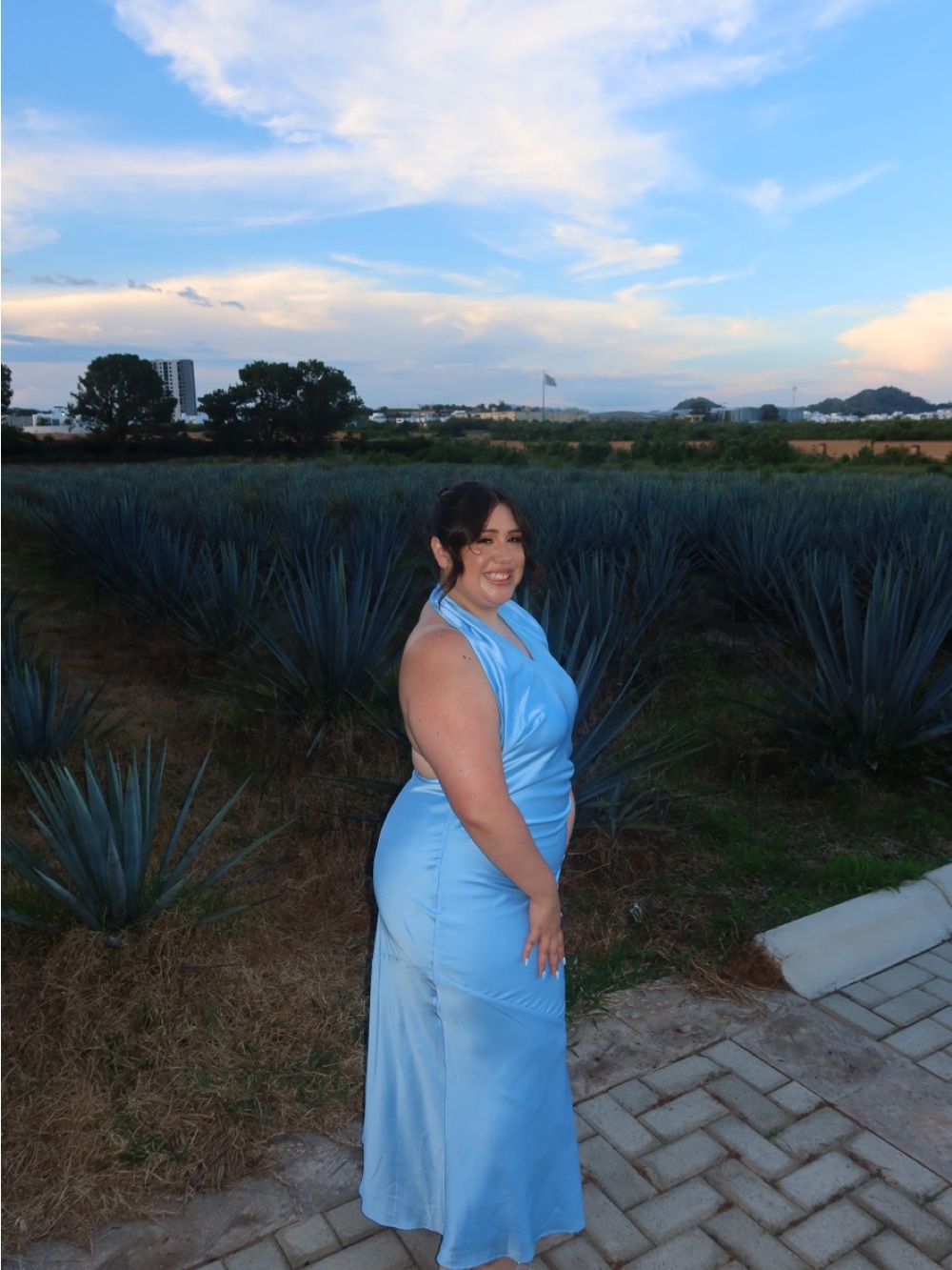 Show Me Your MuMu Baby Blue Halter Maxi Dress - Picture 7 of 8